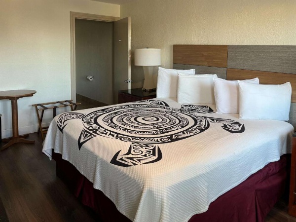 Motel 6 Galveston, TX Seawall image 12